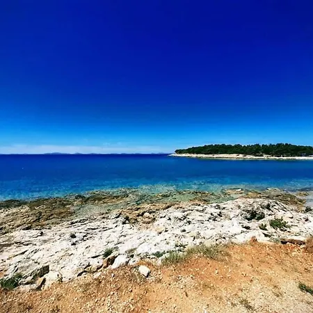 1 Bedroom With A Sea View Murter